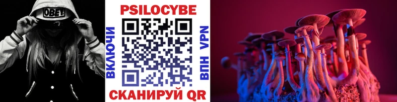 Псилоцибиновые грибы Psilocybine cubensis  где продают   Миллерово 